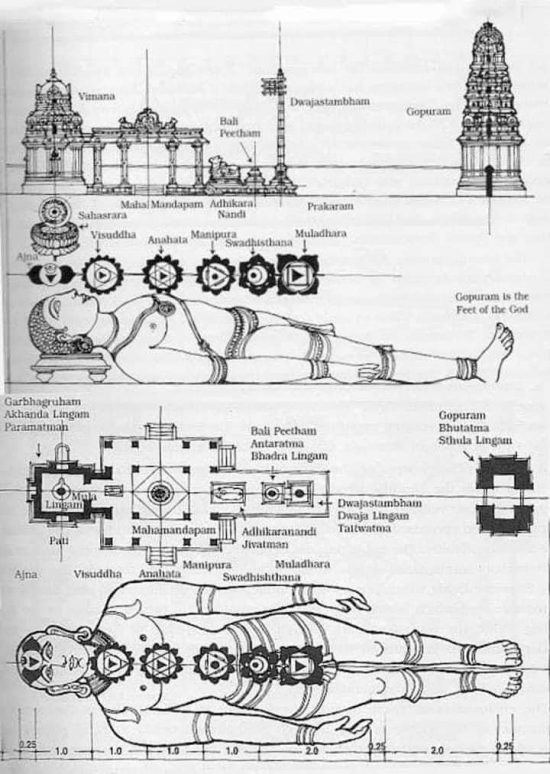 Vaastu Shastra Hindu Temple And The Structure Of Human Body Vedic Tribe