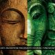 Does Buddhism Has Roots in Vedic Hinduism