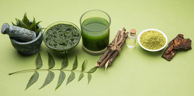 ayurveda-neem