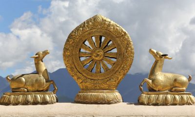 buddhist wheel of dharma