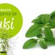 Health Benefits of Tulsi - The Divine Plant in Ayurveda