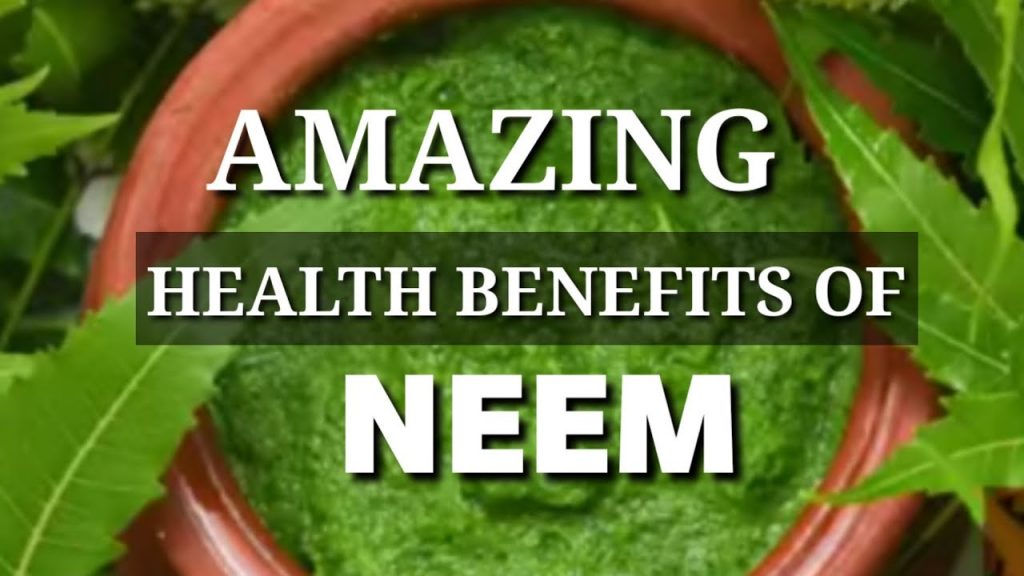 health benefits of neem