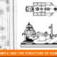 Hindu Temple and the Structure of Human Body