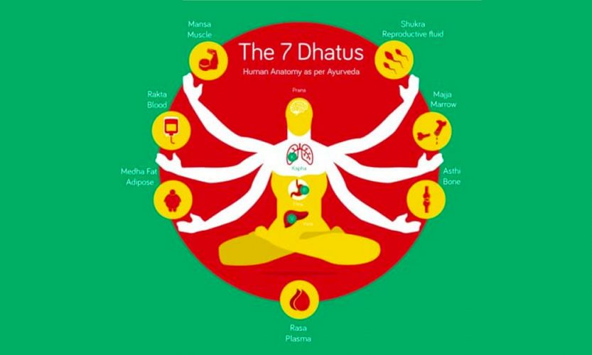 Ayurvedavedanta The Secrets of Life Science Vedic Tribe