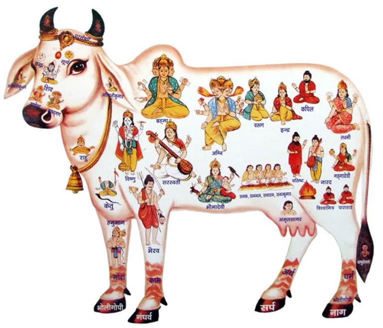 Busting False claims of Beef in Vedas by Hinduphobes