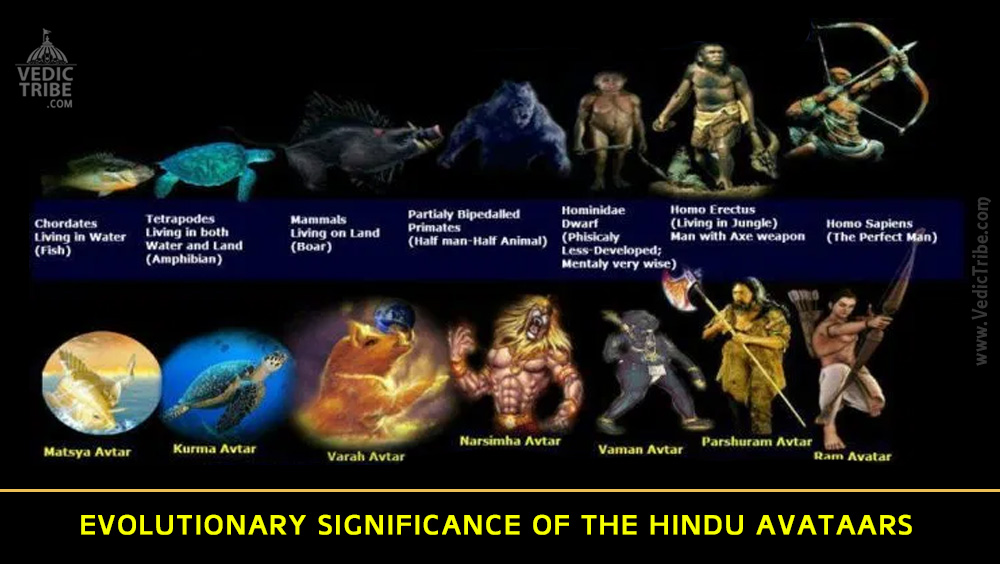 Evolutionary Significance of the Hindu Avataars