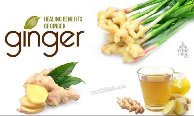 Healing benefits of Ginger