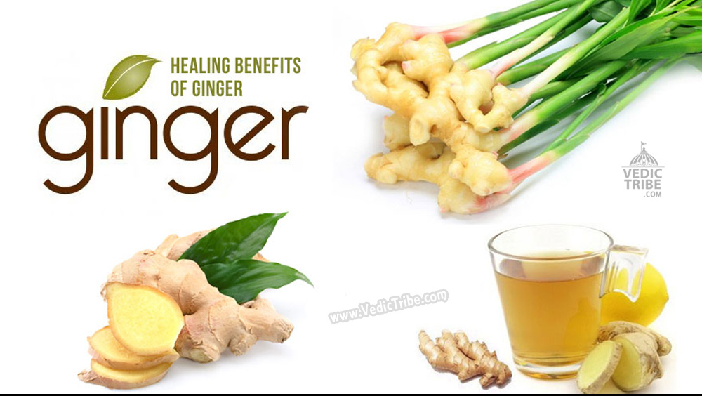 Healing benefits of Ginger