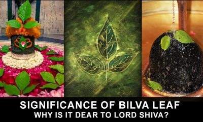 Significance of Bilva Leaf - Why is it dear to Lord shiva?