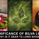 Significance of Bilva Leaf - Why is it dear to Lord shiva?