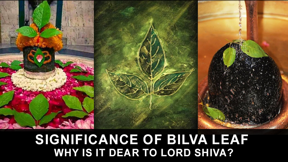 Significance of Bilva Leaf - Why is it dear to Lord shiva?